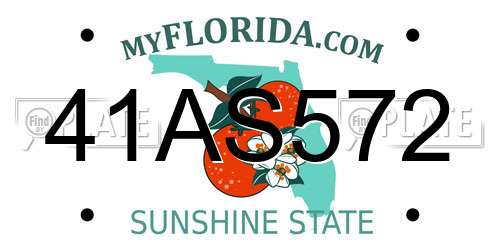 41AS572 Florida License Plate