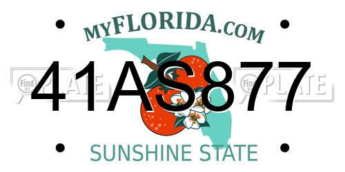 41AS877 Florida License Plate