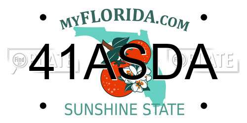 41ASDA Florida License Plate