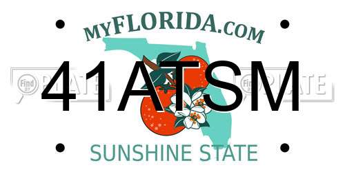 41ATSM Florida License Plate