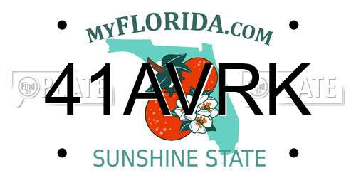 41AVRK Florida License Plate