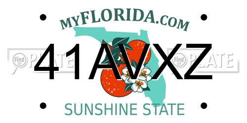 41AVXZ Florida License Plate