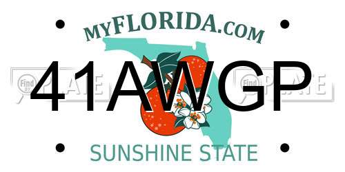 41AWGP Florida License Plate