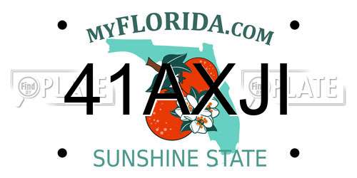 41AXJI Florida License Plate