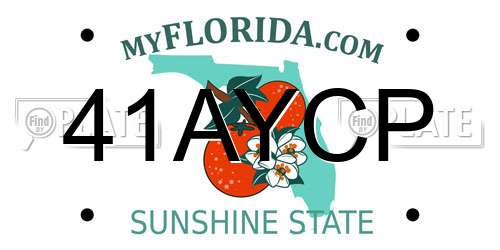 41AYCP Florida License Plate
