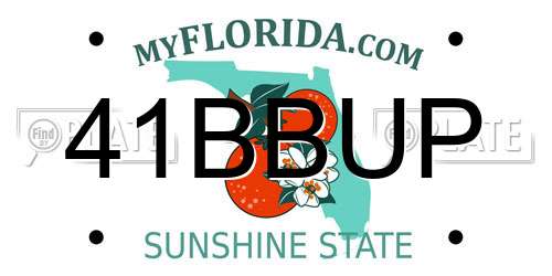 41BBUP Florida License Plate