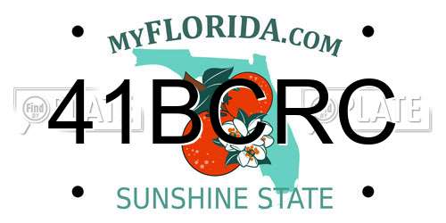 41BCRC Florida License Plate