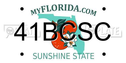 41BCSC Florida License Plate