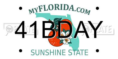 41BDAY Florida License Plate