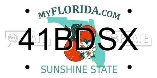 41BDSX Florida License Plate