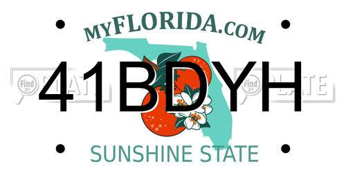 41BDYH Florida License Plate