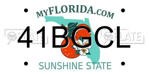 41BGCL Florida License Plate