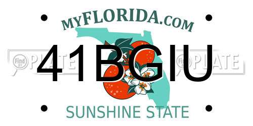 41BGIU Florida License Plate