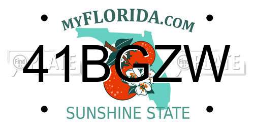 41BGZW Florida License Plate