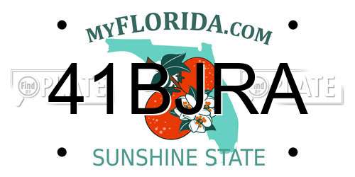 41BJRA Florida License Plate