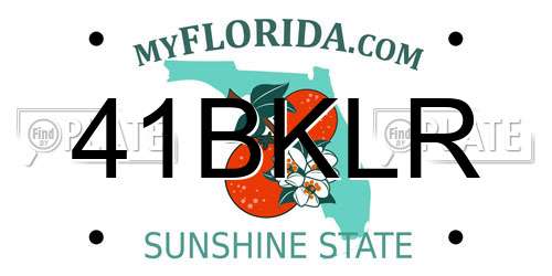 41BKLR Florida License Plate
