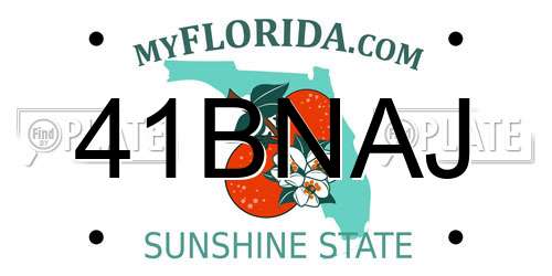 41BNAJ Florida License Plate