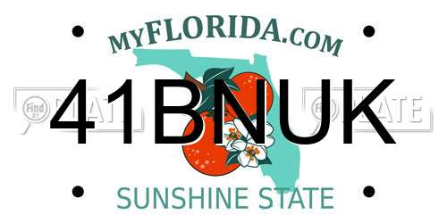 41BNUK Florida License Plate