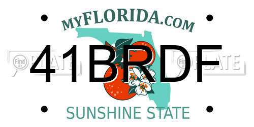 41BRDF Florida License Plate