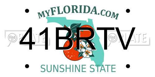 41BRTV Florida License Plate