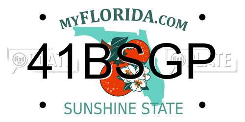 41BSGP Florida License Plate