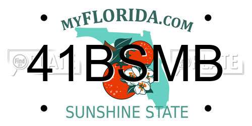 41BSMB Florida License Plate