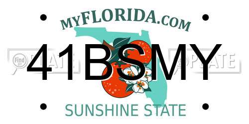 41BSMY Florida License Plate