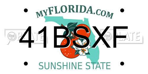 41BSXF Florida License Plate