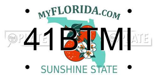 41BTMI Florida License Plate