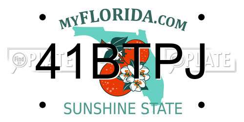 41BTPJ Florida License Plate