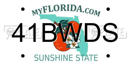 41BWDS Florida License Plate