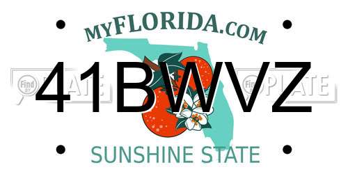 41BWVZ Florida License Plate