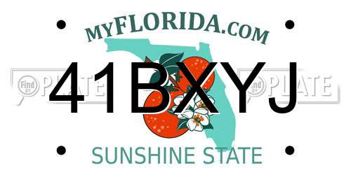 41BXYJ Florida License Plate
