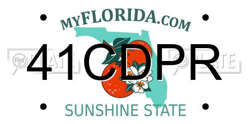 41CDPR Florida License Plate
