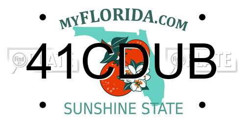 41CDUB Florida License Plate