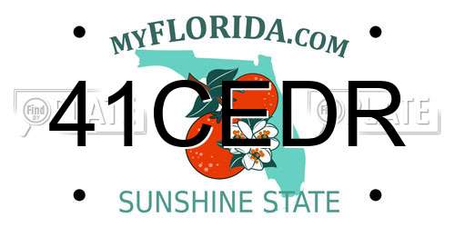 41CEDR Florida License Plate