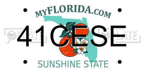 41CESE Florida License Plate