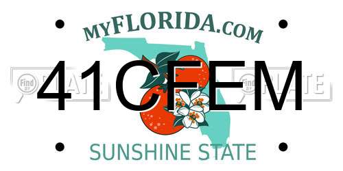 41CFEM Florida License Plate