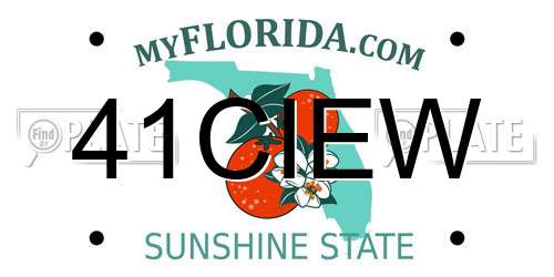 41CIEW Florida License Plate
