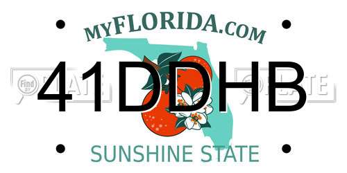 41DDHB Florida License Plate