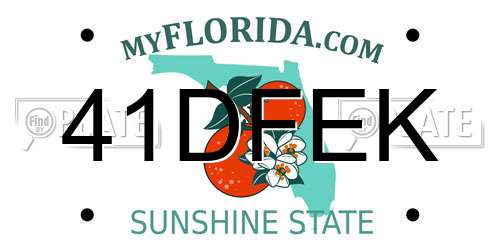 41DFEK Florida License Plate