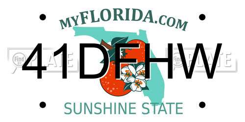 41DFHW Florida License Plate