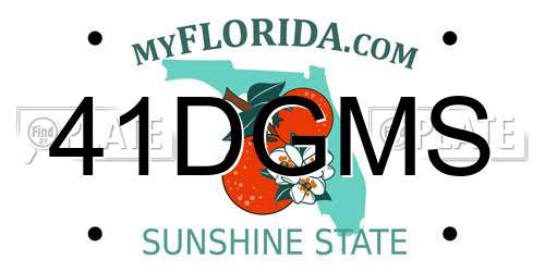 41DGMS Florida License Plate