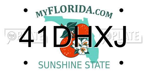 41DHXJ Florida License Plate