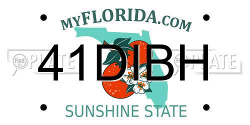 41DIBH Florida License Plate