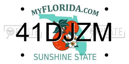 41DJZM Florida License Plate