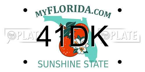 41DK Florida License Plate