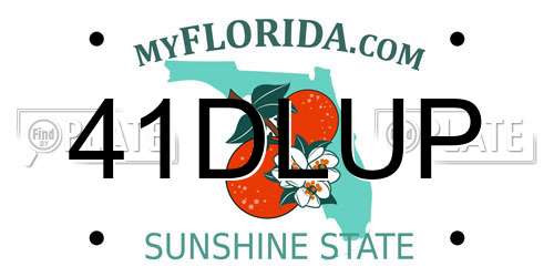 41DLUP Florida License Plate