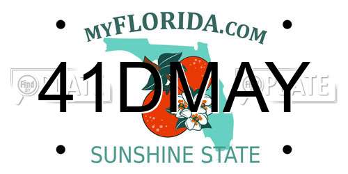 41DMAY Florida License Plate