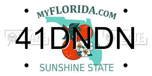 41DNDN Florida License Plate